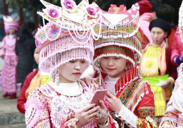 芦笙节庆与生肖揭秘，探寻深层含义与移动解析