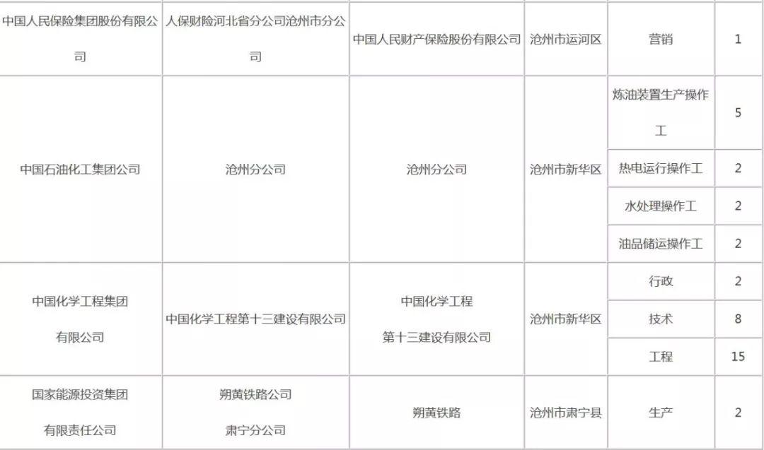 河北沧州公务员报考条件全面解析