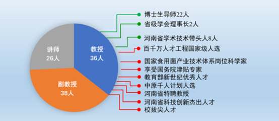 河南最大医学人才网站，引领医学人才发展的新时代领航者