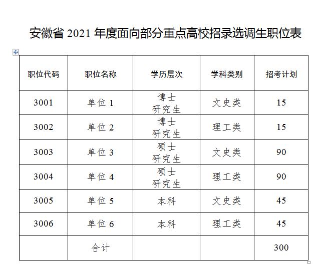 哈尔滨人才市场招聘面试，探索面试策略与求职攻略