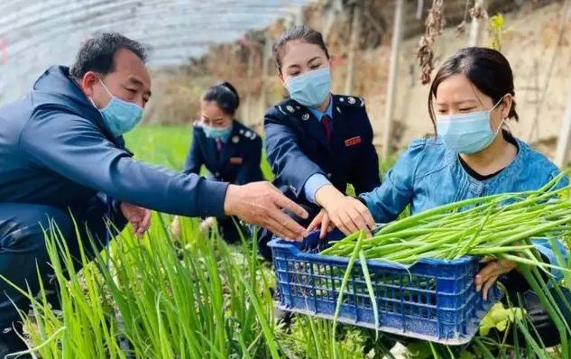 河南公务员报考条件详解，专科生的报名要求与解读