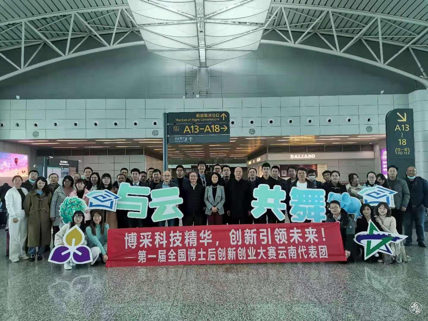 国家电网人才招聘网，电力行业人才的汇聚殿堂